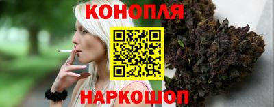 jwh Камышлов