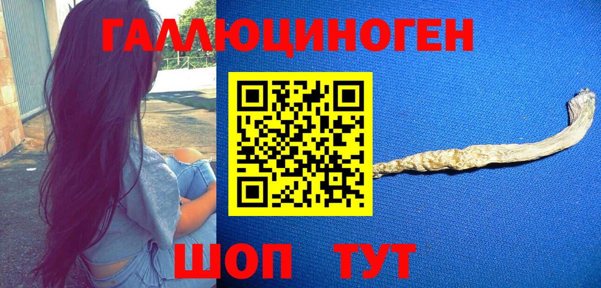 Галлюциногенные грибы мицелий Кубинка