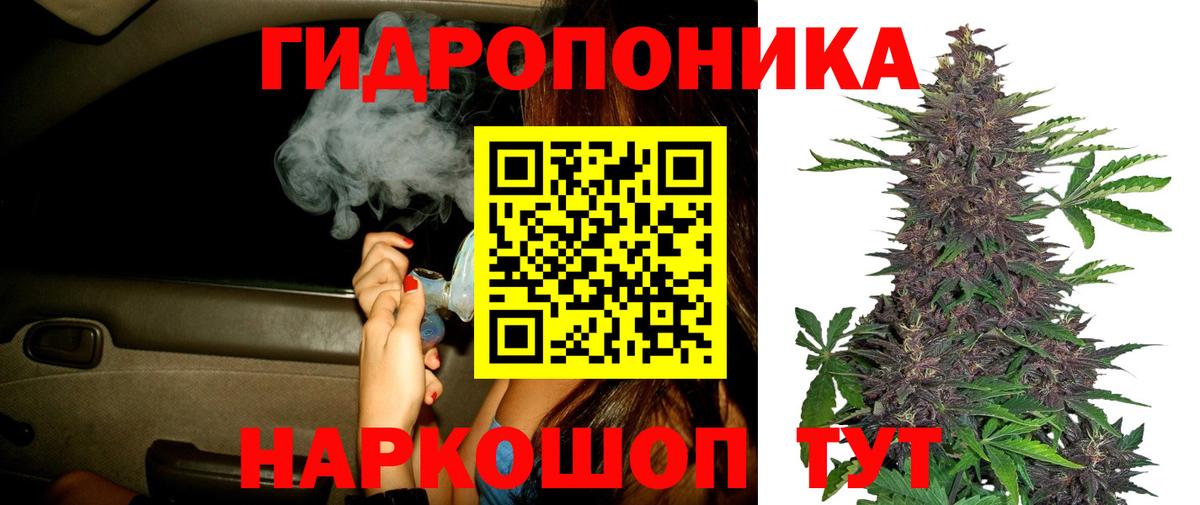 Бошки Шишки VHQ  Вход с VPN  Бошки Шишки гибрид  Кубинка  Шишки марихуана Amnesia 
